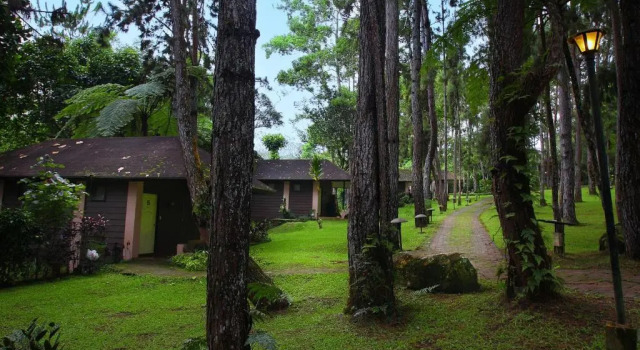 Двухместный номер Deluxe Eden Nature Park and Resort
