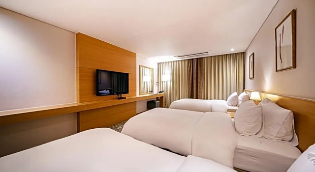 Трёхместный номер Standard с видом на город Hotel Biz Inn
