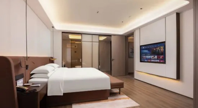 Люкс Deluxe с видом на город Wuhu Conch Business Hotel