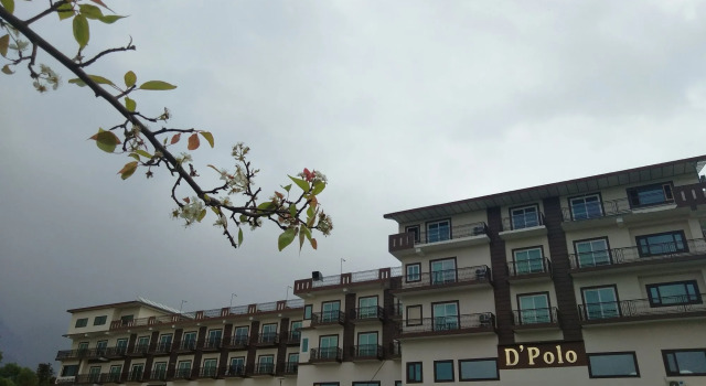 D'Polo Club And Spa Resort, Dharamshala