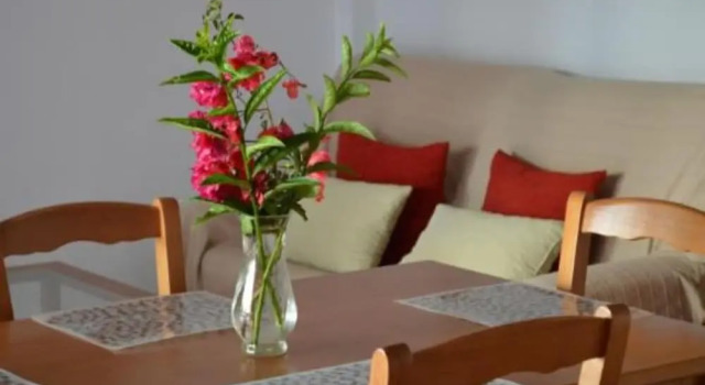 106216 - Apartment in Vera Playa
