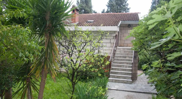Студия Vuksanovic Apartment