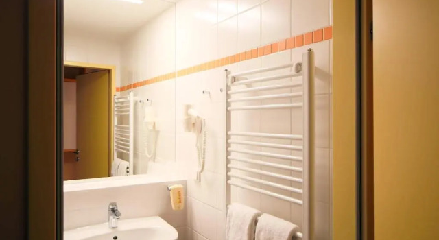 Camera singola Standard JUFA Hotel Planneralm