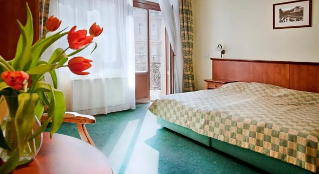 Номер Standard Spa hotel Čajkovskij