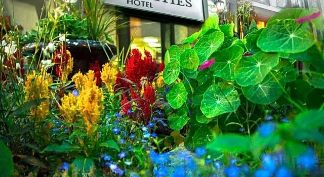 The Celebrities Hotel, Забронировать Отель Монреаль провинция Квебек, рядом с Станция метро Place des Arts