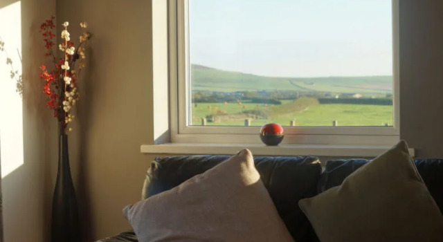 Brandy, Book Feriehus Aberdaron Lleyn Peninsula