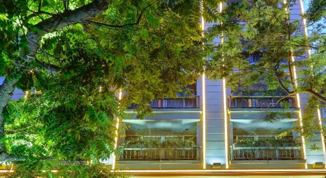 Номер Standard Conifer Boutique Hotel