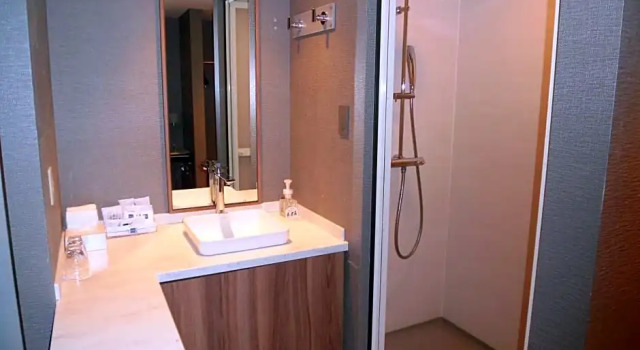 Номер Standard Futakotamagawa Excel Hotel Tokyu