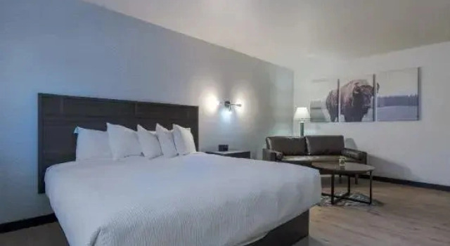 Номер Standard The Scout INN