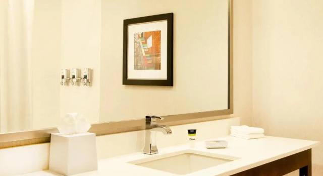 Четырёхместный номер Standard Four Points by Sheraton Newark Christiana Wilmington