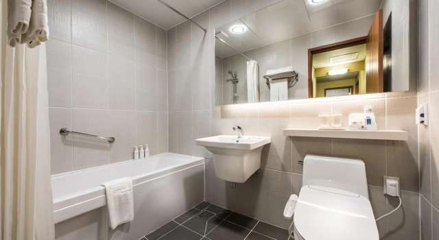 Двухместный номер Superior Yousung Hotel