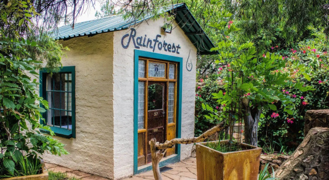 Rainforest Boutique Camp