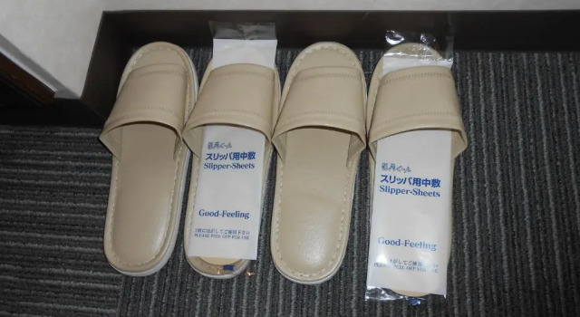 Одноместный номер Standard Kakegawa Station Hotel