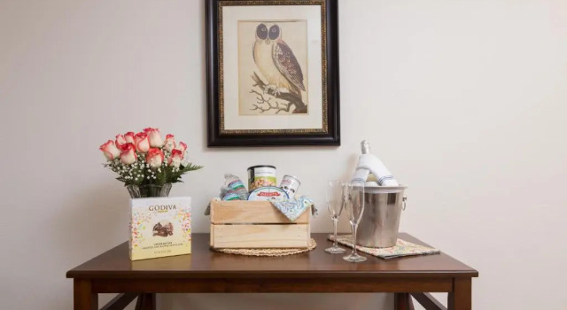 Студия Standard Hotel Flora and Fauna
