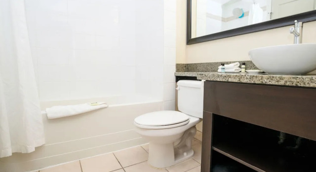 Двухместный люкс с балконом Sandman Hotel & Suites Calgary West