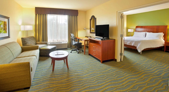 Двухместный люкс Hilton Garden Inn Birmingham SE/Liberty Park
