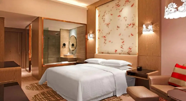 Двухместный номер Standard с видом на город Four Points by Sheraton Luohe