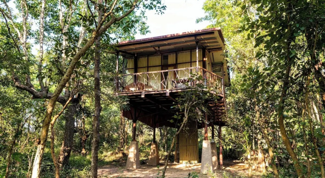 Коттедж Luxury Kanha Jungle Camp