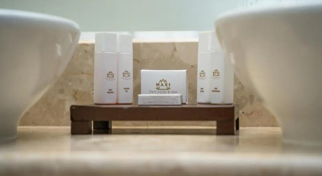 Студия Standard Maxi Park Hotel & Spa