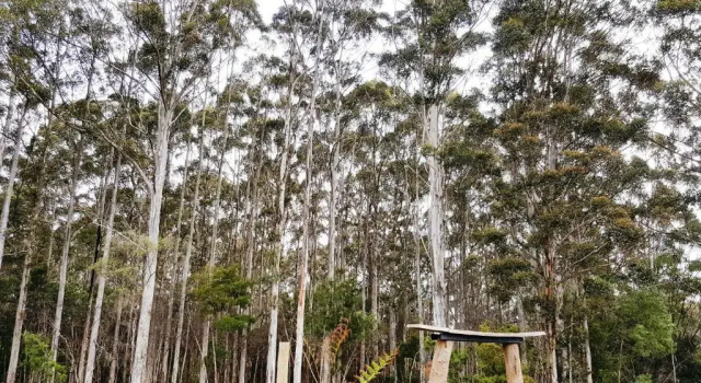 The Executive Suite, Book Hotel Pemberton Western Australia