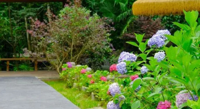 Xiling Floral Water Bay Xiyuxi Hot Spring Homestay, Rezerwuj Hotel Chengdu Sichuan