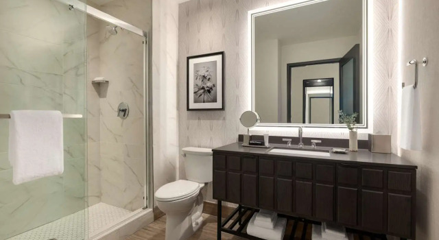 Двухместный номер Premium Valley Hotel Homewood Birmingham - Curio Collection By Hilton