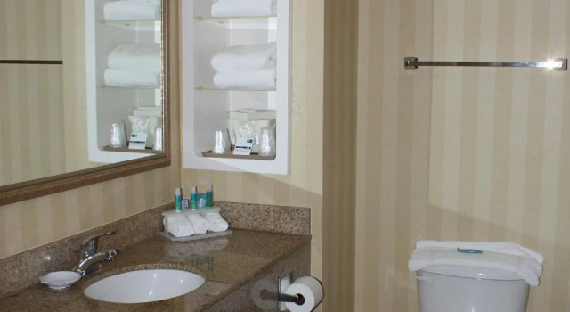 Четырёхместный люкс Holiday Inn Express & Suites Spring Hill by IHG