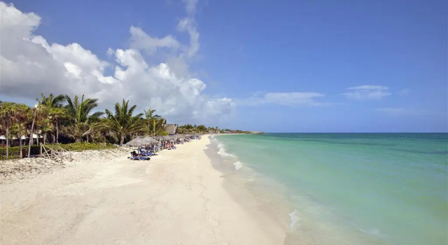 Номер Standard Melia Cayo Coco (Adults Only)