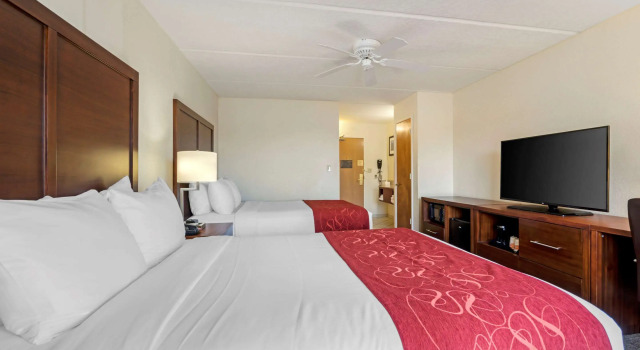 Четырёхместный номер Standard Comfort Inn Kissimmee-Lake Buena Vista South