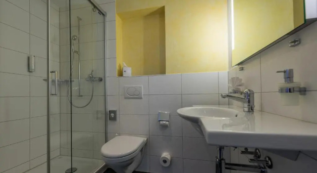 Одноместный номер Standard с видом на озеро Parkhotel Gunten - Beach & Spa