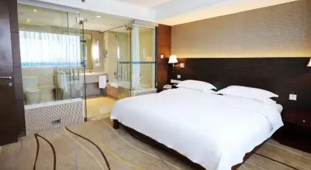 Люкс Business Southern Airlines Pearl International Hotel