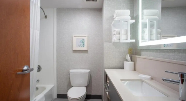 Четырёхместный номер Standard с видом на горы Hampton Inn Elkins