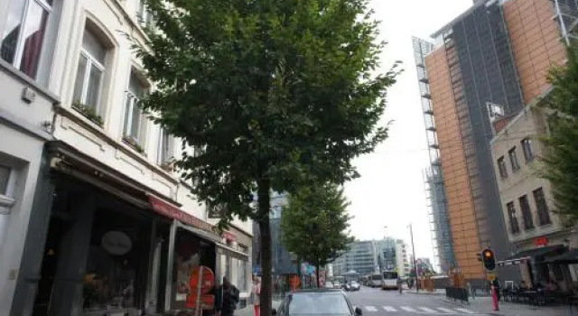 Apartments Berlaymont OHY, Prenota Appartamento Bruxelles Bruxelles, vicino a Square Ambiorix