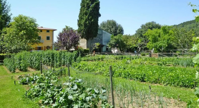 Fattoria I Tribbi, Buchen Sie Hotel Bucine Valdarno