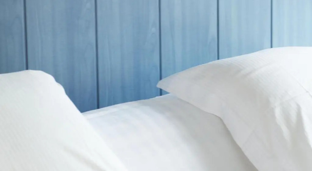 Двухместный номер Standard Hotel Le Pavillon Bleu