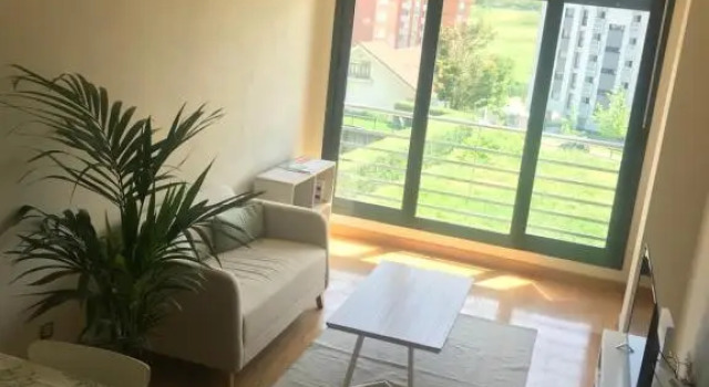 Apartamento Olmeca, Забронировать Апартаменты/квартира Апартаменты Сантандера, рядом с Музей доисторической эпохи и археологии провинции Кантабрия, Апартаменты/квартира