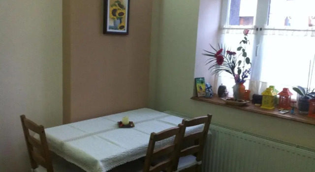 Pension Daciana, Rezerwuj Hotel Hotele w Carpathians - Romania z parkingiem, Parking