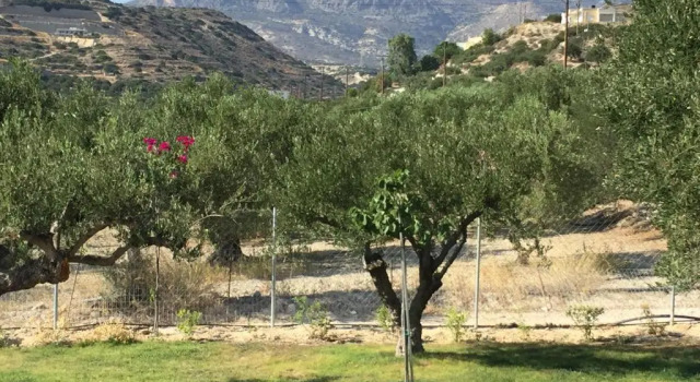 Студия Villa Marmelada
