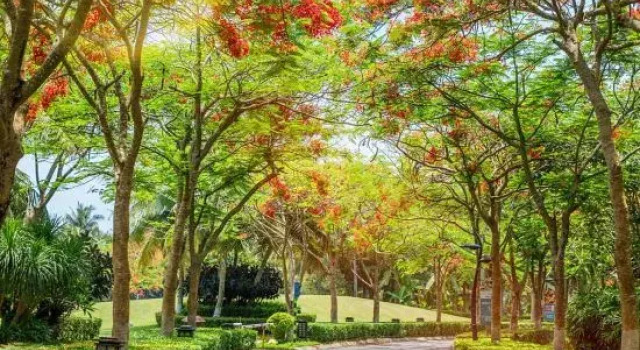 Yunjia Apartment Hotel, Boek Appartement Wanning Hainan