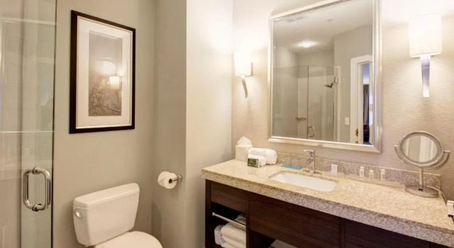 Standard- værelse Hotel Indigo Waco