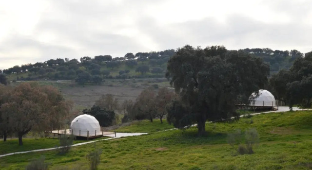Бунгало Superior Herdade Ribeira de Borba
