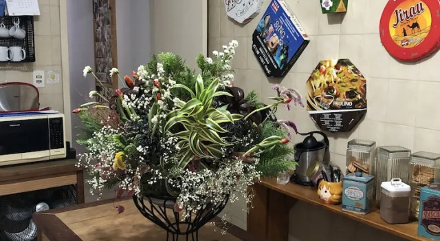Family Hostel e Pousada, Забронировать Хостел Санту-Амару Сан-Пауло, рядом с Ponte Estaiada de Sao Paulo