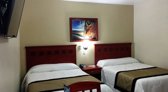 Camera Standard Hotel NV Guadalajara