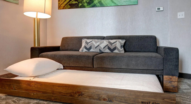Двухместный люкс SpringHill Suites by Marriott Orangeburg