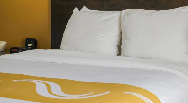 Номер Standard Quality Inn Conference Center at Citrus Hills
