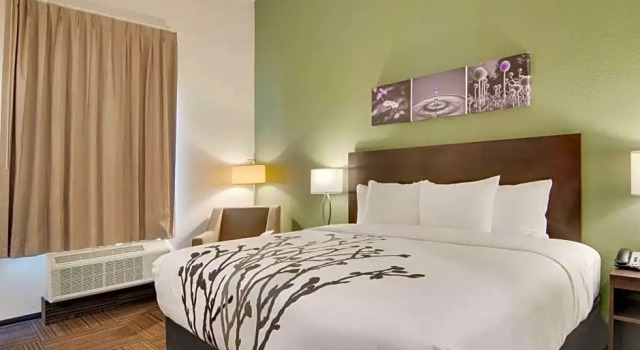 Номер Standard MainStay Suites Dallas Northwest - Irving