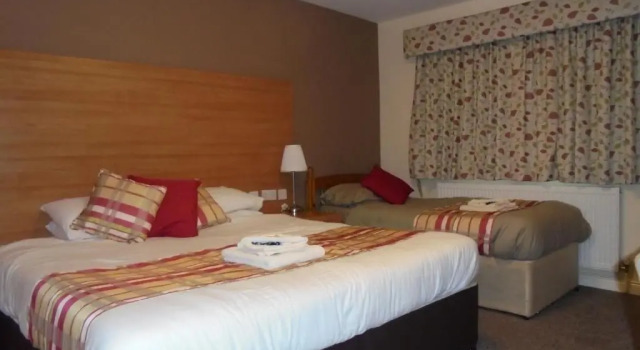 Трёхместный номер Comfort The River Don Tavern and Lodge