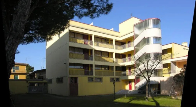 Luisa