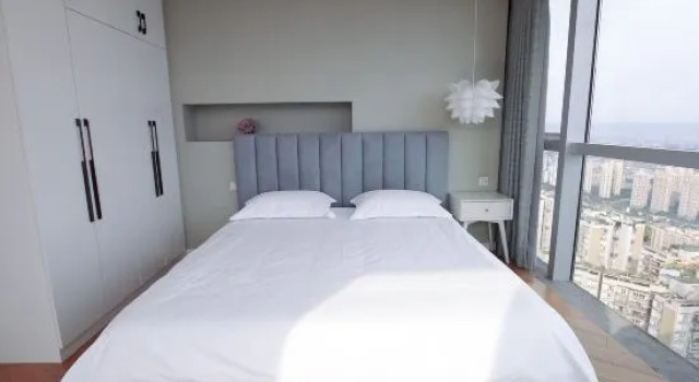 Superior Suite Mecy Apartment
