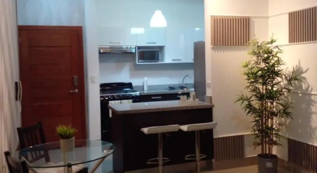 Апартаменты Apartamento en bella vista
